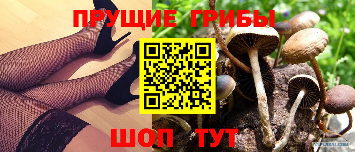 Бугуруслан  Галлюциногенные грибы Magic Shrooms  Вход с VPN 
