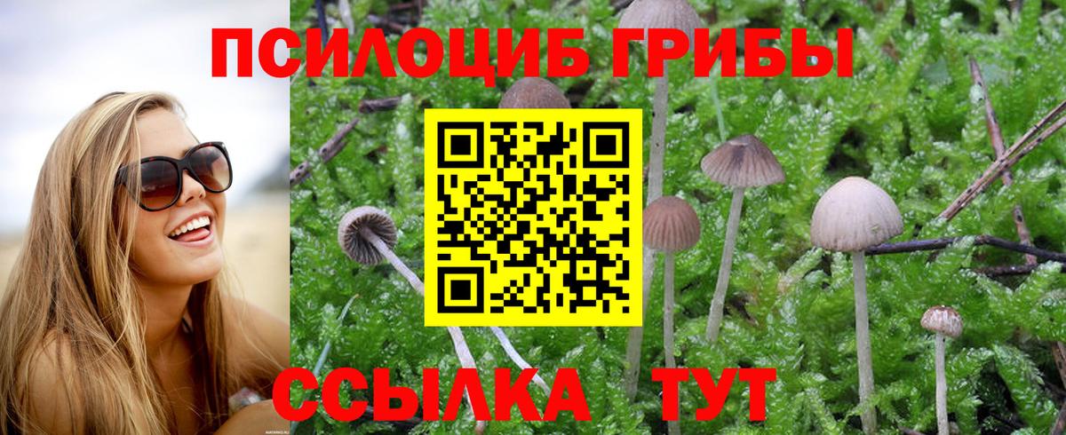 Галлюциногенные грибы прущие грибы Бугуруслан